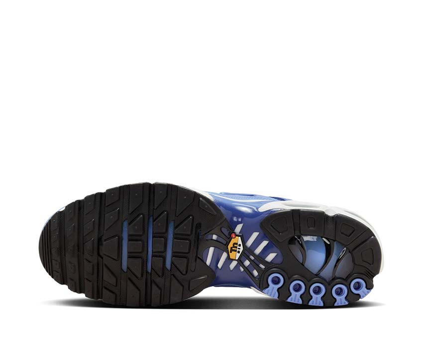 Nike Air Max Plus “Royal Pulse” – DM0032-403